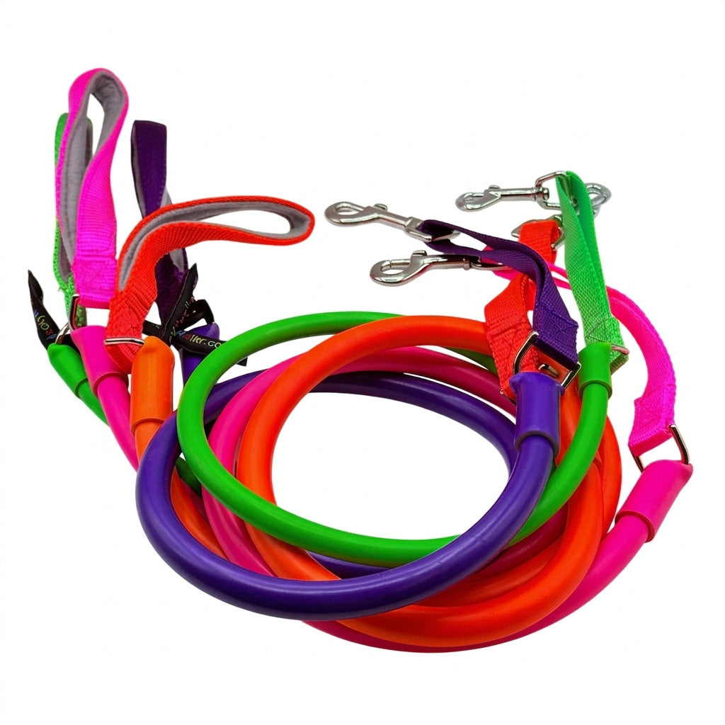 Coiled stretch dog leashes in pink, purple, orange, green and red
