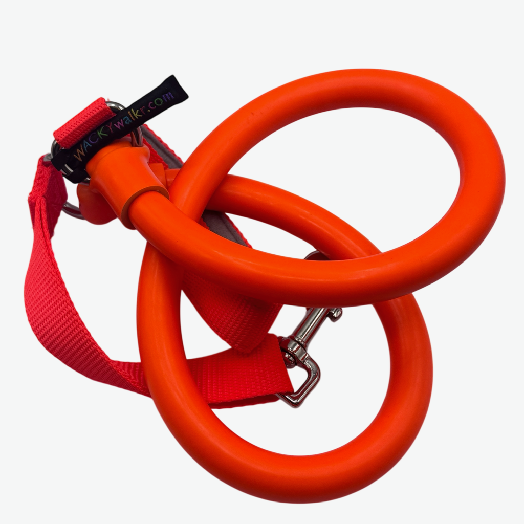 Orange coiled stretch dog leash with a red handle
