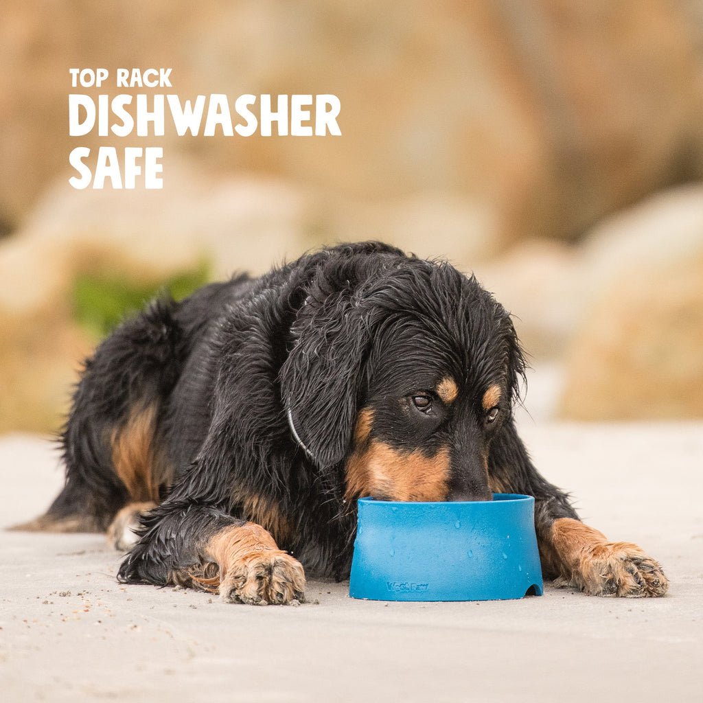 Black and tan puppy lying on sand eating from a blue bowl