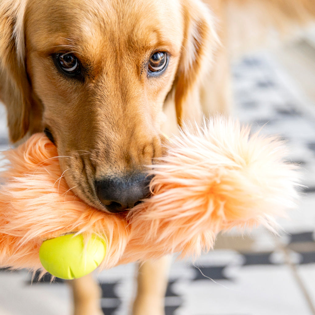 Golden retriever holding a peach shaggy plush toy in its mouth
