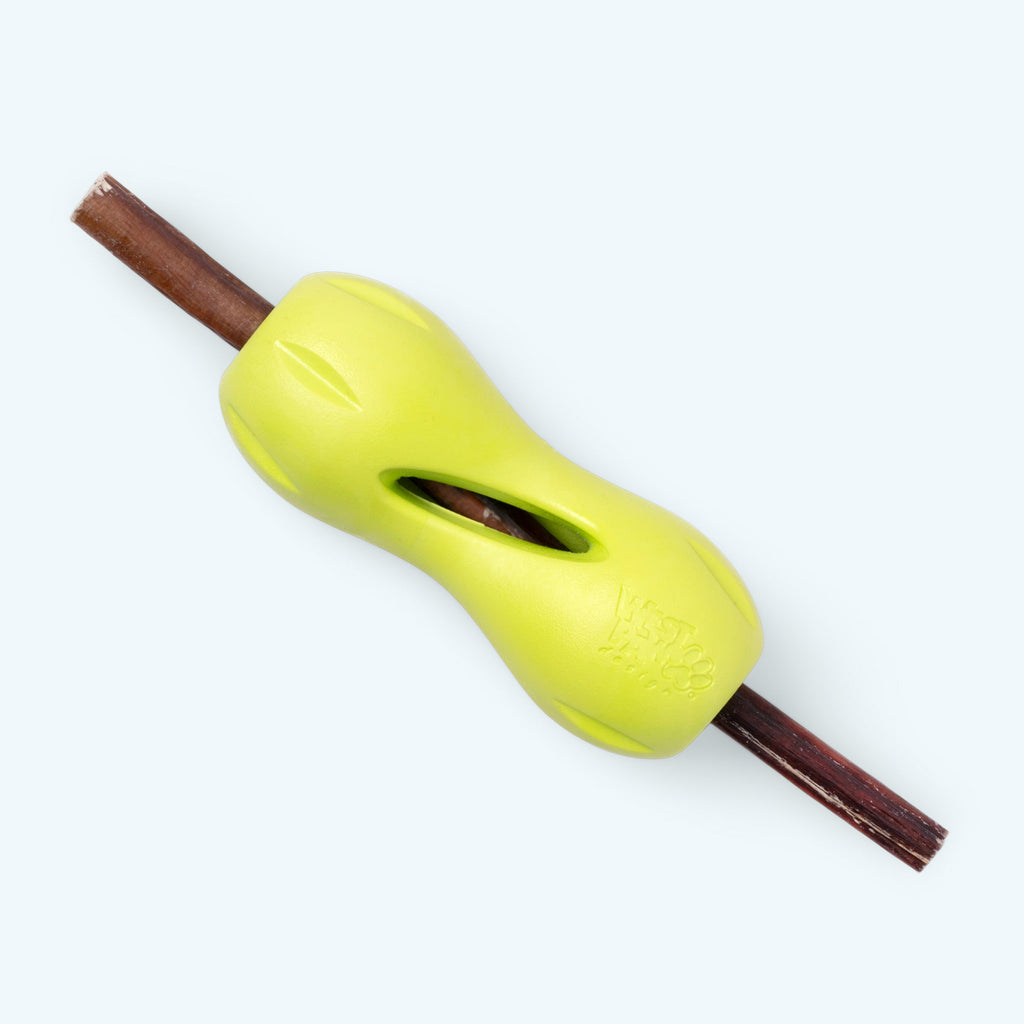 Lime hourglass treat toy with a chew stick pushed through it