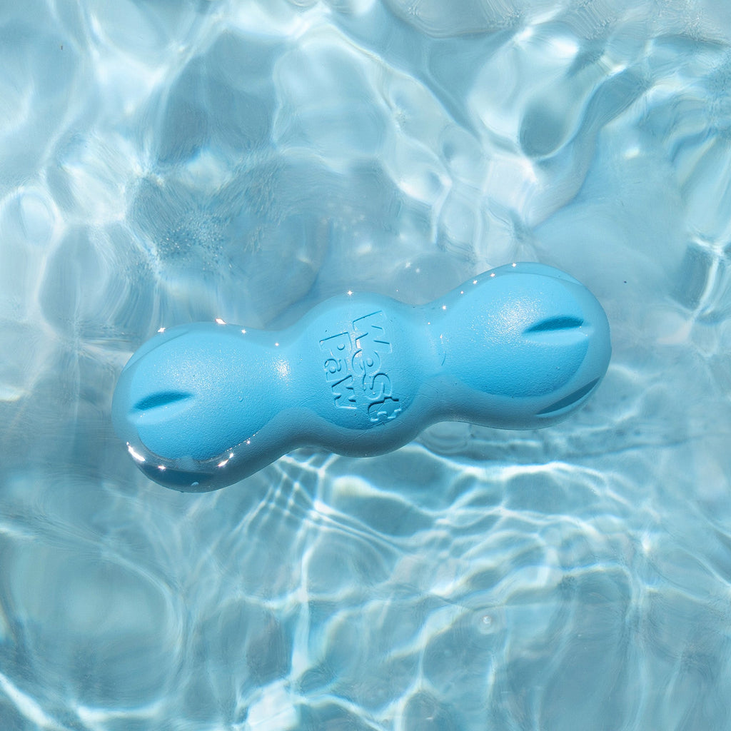 Blue three-lobed chew toy floating in a pool