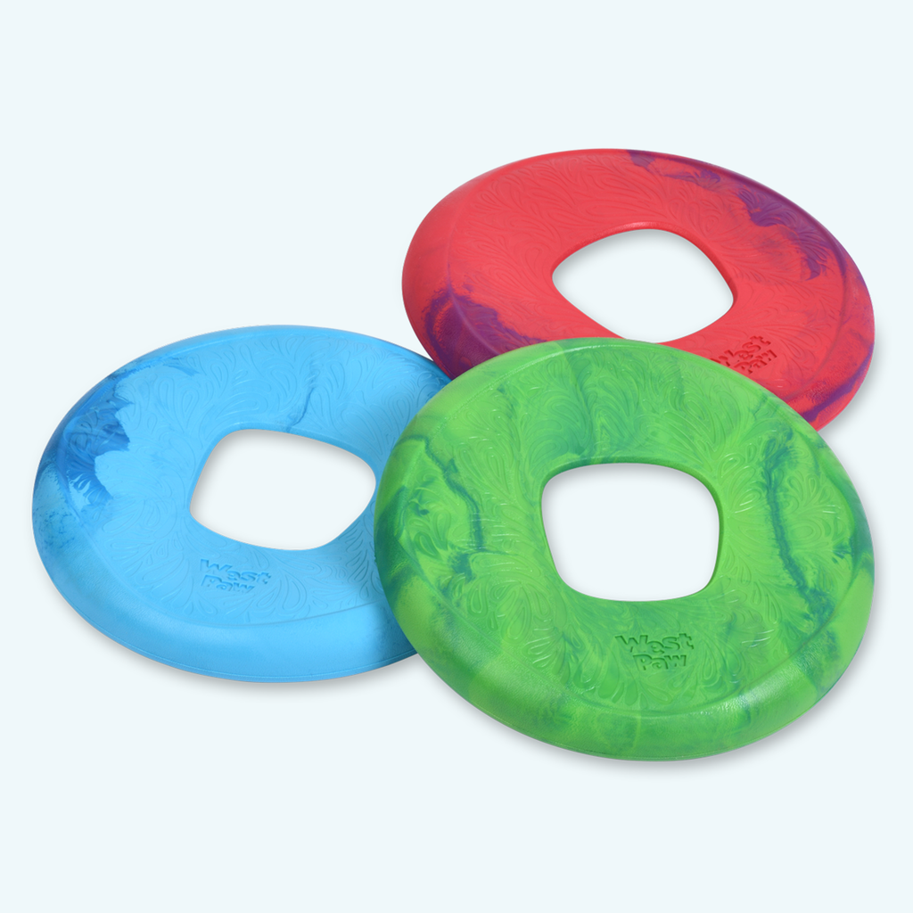 Flying ring dog toys in blue, red-purple and green