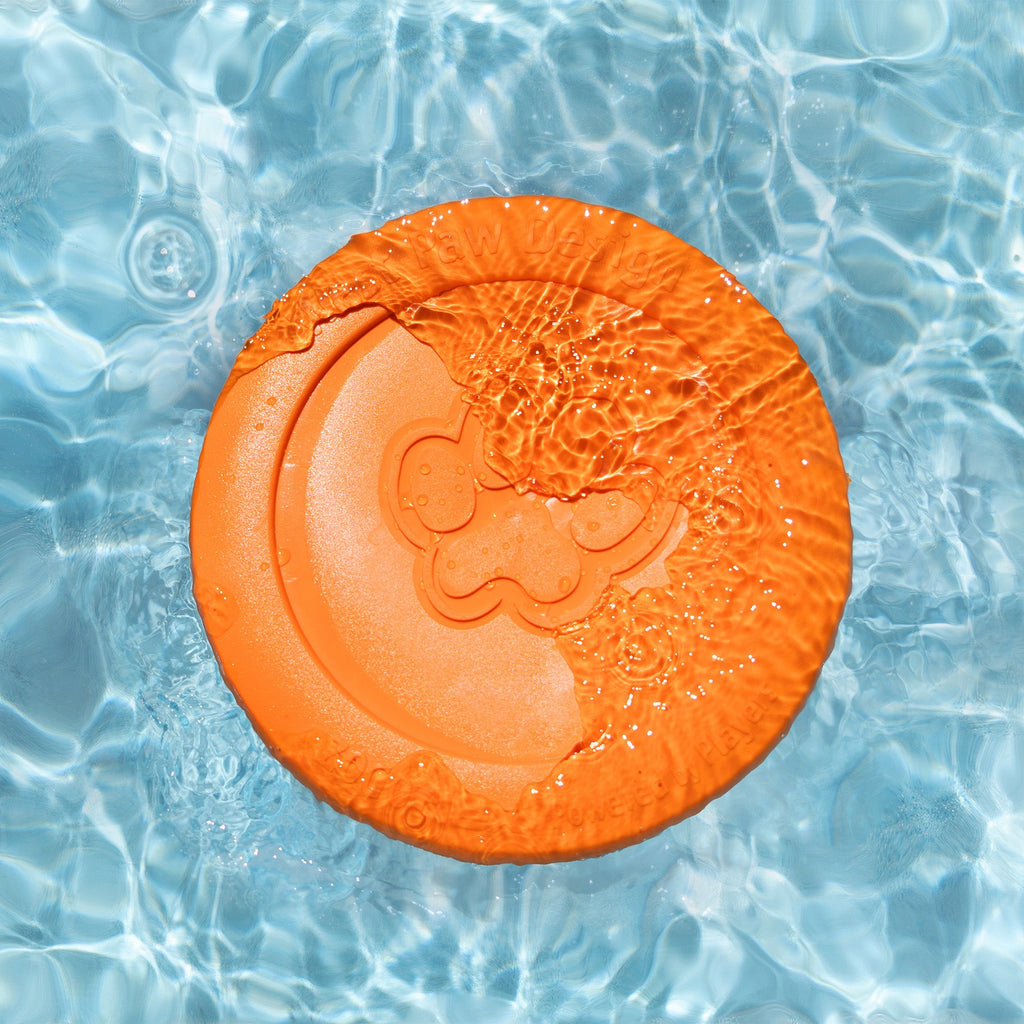 Orange flying disc dog toy floating in a pool