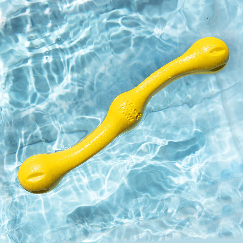 Yellow stick-shaped fetch toy floating in a pool